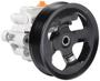 New Advantage Power Steering Pump - New