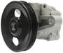 New Advantage Power Steering Pump - New