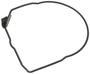 Import Direct Ignition Distributor Cap Gasket
