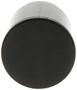 Import Direct Ignition Fuel Vapor Canister