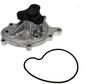 Import Direct Water Pump - New