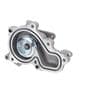 Murray Temperature Control Water Pump