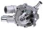 Murray Temperature Control Water Pump