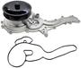 Murray Temperature Control Water Pump