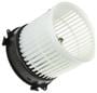 Omega Blower Motor