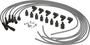 OmniSpark Spark Plug Wire Set