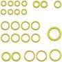Murray Climate Control A/C O-Ring And Gasket Kit