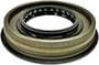 Precision Multi-Purpose Grease/Oil Seal