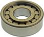 Precision Differential Pinion Pilot Bearing