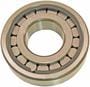 Precision Differential Pinion Bearing
