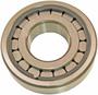 Precision Differential Pinion Pilot Bearing