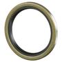 Precision Multi-Purpose Grease/Oil Seal