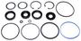 Precision Power Steering Steering Gear Seal Kit