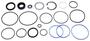 Precision Power Steering Steering Gear Seal Kit