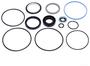 Precision Power Steering Steering Gear Seal Kit