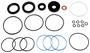 Precision Power Steering Steering Gear Seal Kit