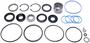 Precision Steering Gear Rebuild Kit