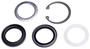 Precision Power Steering Steering Gear Pitman Shaft Seal Kit