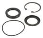 Precision Power Steering Steering Gear Pitman Shaft Seal Kit