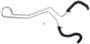 Import Direct P/S Hose Assembly