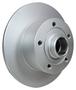 PAGID Rear Brake Rotor
