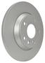 PAGID Rear Brake Rotor