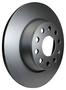 PAGID Rear Brake Rotor