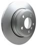 PAGID Rear Brake Rotor