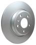 PAGID Rear Brake Rotor