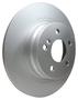 PAGID Rear Brake Rotor