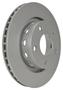 PAGID Rear Brake Rotor