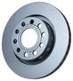 PAGID Rear Brake Rotor