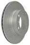 PAGID Rear Brake Rotor