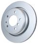 PAGID Rear Brake Rotor