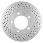 PAGID Front Brake Rotor