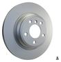 PAGID Rear Brake Rotor