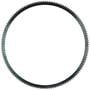Pioneer 146 14.774 Inch M/T Flywheel Ring Gear