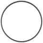 Pioneer 153 12.837 Inch Clutch Flywheel Ring Gear