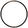 Pioneer 158 15.984 Inch Clutch Flywheel Ring Gear