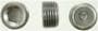 Pioneer Inc. Pipe Plug