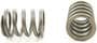 Pioneer Inc. Valve Spring