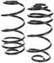 Precision Coil Spring Set