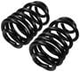Precision Coil Spring Set