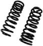 Precision Coil Spring Set