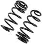 Precision Coil Spring Set