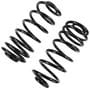 Precision Coil Spring Set