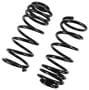Precision Coil Spring Set