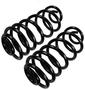 Precision Coil Spring Set