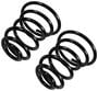 Precision Coil Spring Set