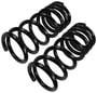 Precision Coil Spring Set